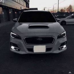 60281